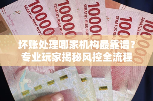 武汉坏账处理哪家机构最靠谱？专业玩家揭秘风控全流程