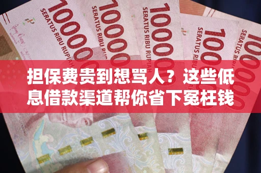 武汉担保费贵到想骂人？这些低息借款渠道帮你省下冤枉钱