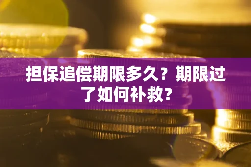 武汉担保追偿期限多久？期限过了如何补救？