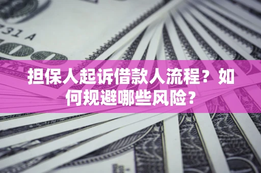 武汉担保人起诉借款人流程？如何规避哪些风险？