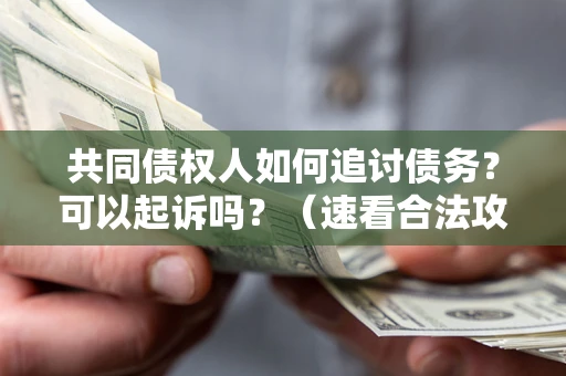 武汉共同债权人如何追讨债务？可以起诉吗？（速看合法攻略）
