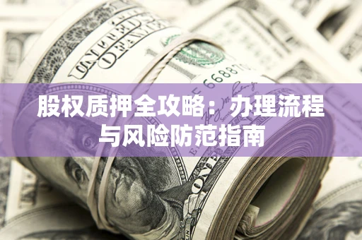武汉股权质押全攻略：办理流程与风险防范指南